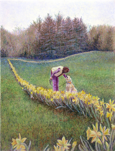 Daffodil Line - Pastel
