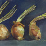 Onions - Pastel